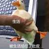 萌宠 小鸭子 被生活扯住了肚皮 太难了 搞怪 逗