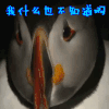 我什么也不知道啊