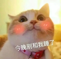 今晚别和我睡了 猫咪 害羞 可爱