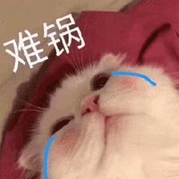 萌宠 猫 猫咪 喵星人 难过
