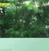 RUNNINGMAN