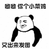 暴漫 熊猫人 呦呦 菜鸡 发图 斗图 搞怪 逗
