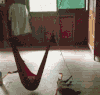 猫咪 小孩 玩耍 可爱