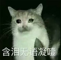 猫咪 大眼睛 萌宠 含泪无语凝噎