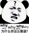 暴漫 文字表情包 为什么你这么傻逼 搞笑 逗 沙雕