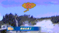 大树 搞笑 逗比 二货
