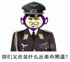 暴漫 搞笑 雷人 斗图 你们又在装什么反革命黑逼
