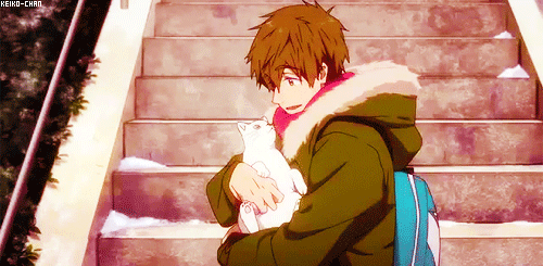 动漫 二次元 帅气男子 亲吻猫咪