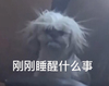 萌宠 汪星人 刚刚睡醒什么事 无奈 呆萌 可爱