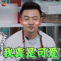 中餐厅2 苏有朋 我真是可爱 撩人 中餐厅 soogif soogif出品