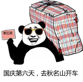 金馆长 熊猫 编织袋 墨镜 国庆第六天 去秋名山开车
