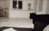 生活 来。。givemefive~ 搞笑 萌 gif