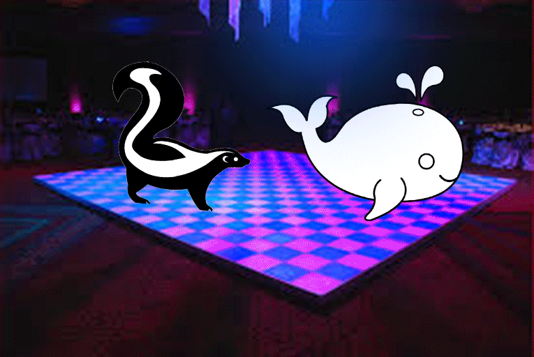 臭鼬  舞蹈  鲸鱼  舞台