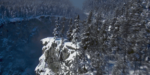 地球脉动 树 纪录片 美 雪山 风景