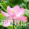 魔性 搞笑 沙雕 头像 佛系