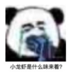 文字表情包 暴漫 小龙虾是什么味来着 搞笑 沙雕 魔性