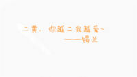 汉字 黄色 二黄你越二 我越爱