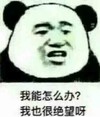 熊猫人 绝望 办法 我能怎么办我也很绝望呀 怎么办