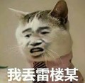 金管长 猫咪 牙齿 我丢雷楼某