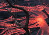 nature lava 熔岩 分支