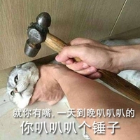 猫咪 锤子 手指 你叭叭叭个锤子