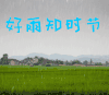 谷雨