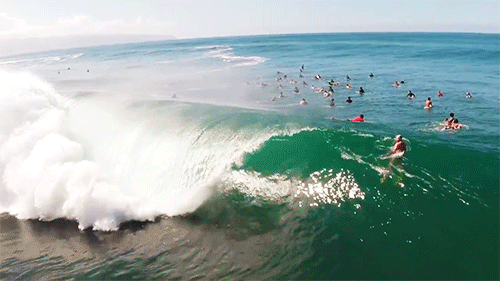 冲浪  运动 海洋 海浪 surfing