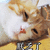 朕乏了 乏了 猫