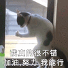 沙雕 沙雕图 沙雕表情包 搞笑 斗图