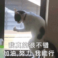 沙雕 沙雕图 沙雕表情包 搞笑 斗图