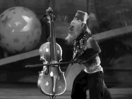 猴子  小提琴 音乐 表演