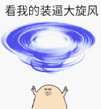 斗图 看我的装逼大旋风 装逼 得意 开心 soogif soogif出品