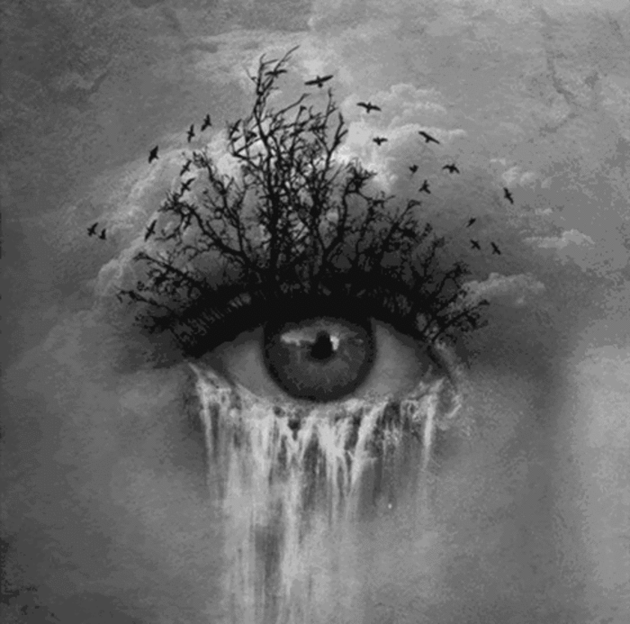 眼睛 眼泪 设计 飞鸟 瀑布