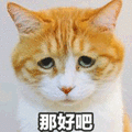 那好吧 伤心 猫 好吧