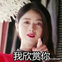 欢乐颂 火遍全国的都市剧 美女 我欣赏你