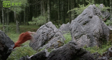 狐狸 红色 可爱 石头