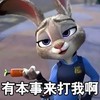 兔子 胡萝卜 兔耳朵 有本事来打我啊
