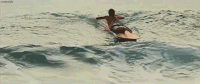 冲浪 海浪 水上运动 surfing