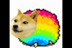 狗狗 搞笑 奔跑 彩虹色的