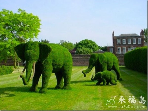 大象 动物 绿色 搞笑