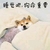 狗命重要 狗狗 盖被 可爱