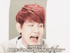 EXO  BAEKHYUN  边伯贤 犯贱 卖萌