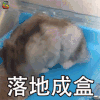 萌宠 仓鼠 吃鸡 落地成盒 soogif soogif出品