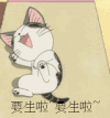 小猫 要生啦 可爱 打滚