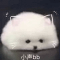 bb 狗