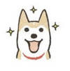 狗狗 开心 可爱 星星