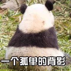 熊猫 国宝 一个孤单的背影 soogif soogif出品