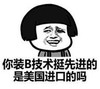 暴漫 文字表情包 你装B技术挺先进的是美国进口的吗 搞怪 逗 沙雕