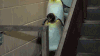 搞笑