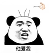 熊猫人 他不爱我 暴漫 沙雕拔头发 拔毛 熊猫头拔毛